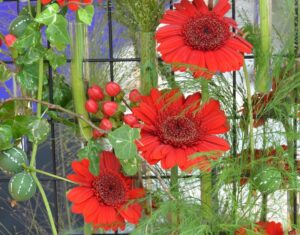 탄생화와 탄생목, 나만의 특별한 의미 찾기